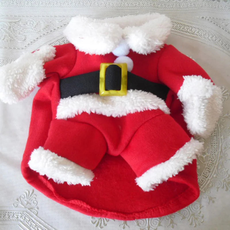 Roupa Papai Noel