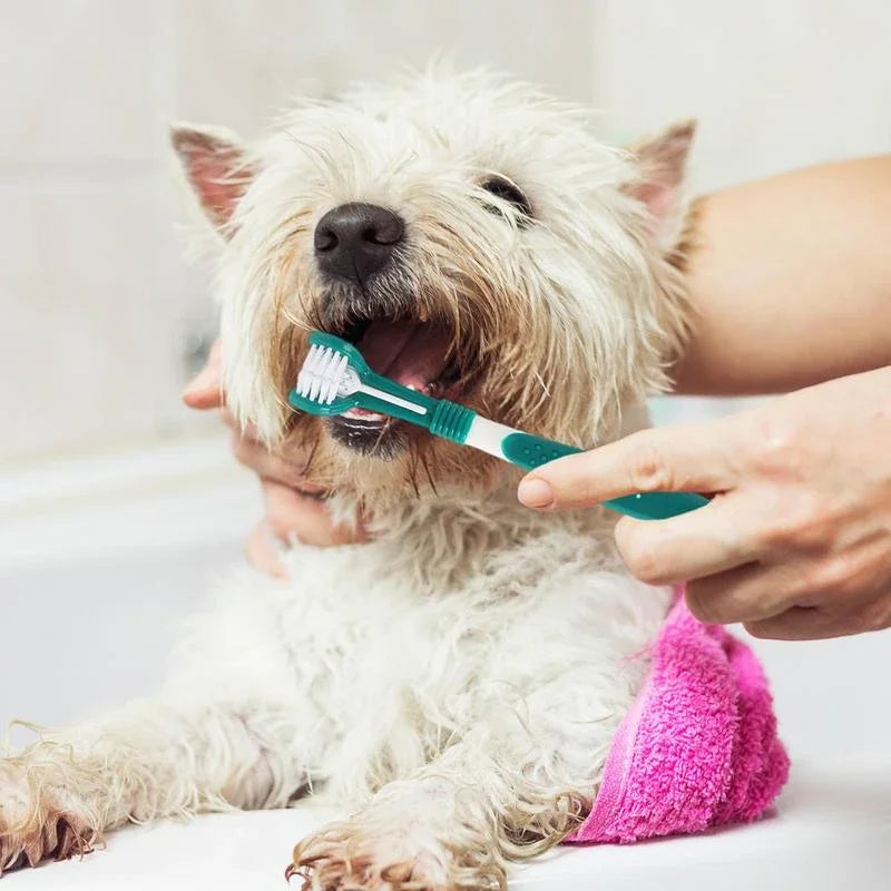 Escova de dentes para animais de estimação 3 lados